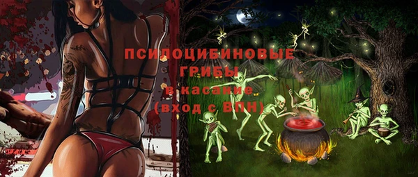 мдпв Балабаново