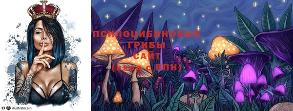 мдпв Балабаново