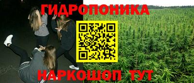 мдпв Славгород