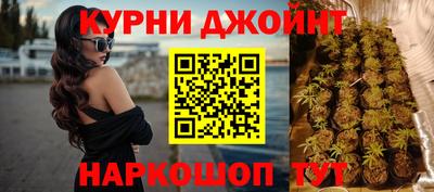 мдпв Славгород