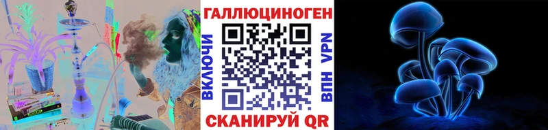 как найти наркотики  Унеча  Псилоцибиновые грибы MAGIC MUSHROOMS 