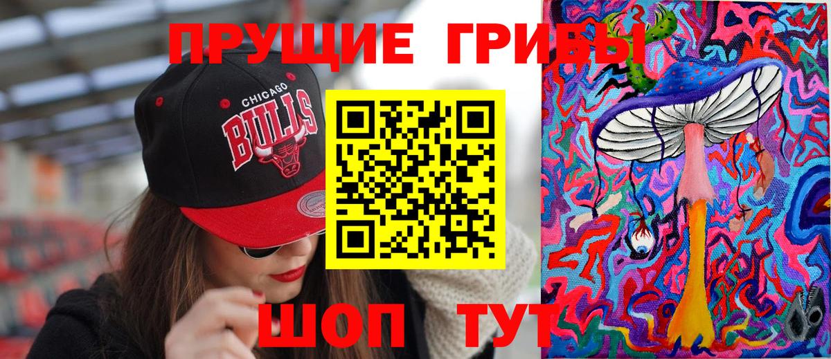 Унеча  Псилоцибиновые грибы мицелий  Вход с VPN 