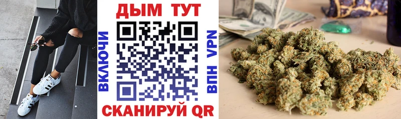 Марихуана Bruce Banner  наркошоп  Унеча 